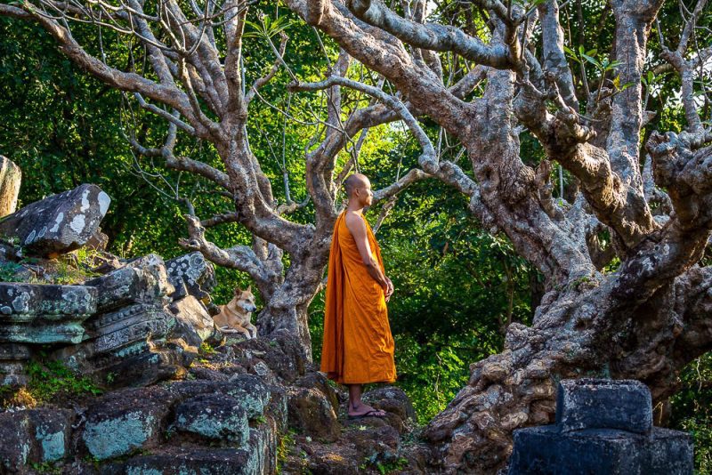 Monk With Tree (Print 85)