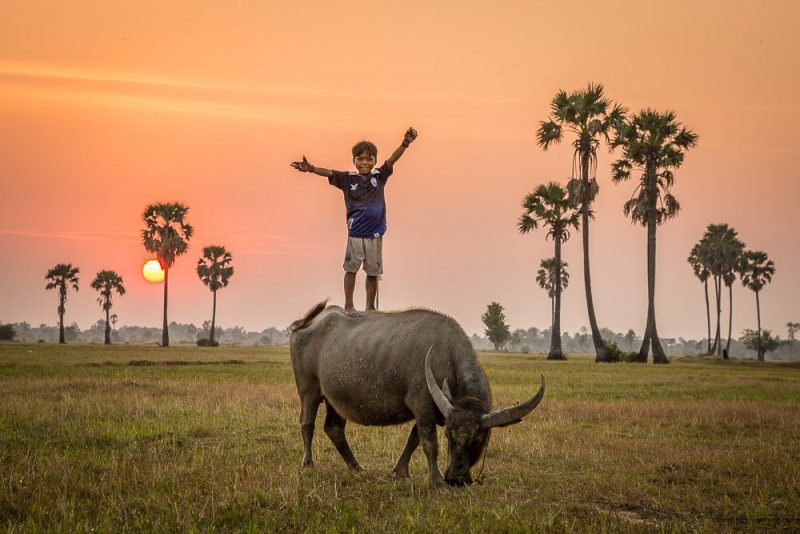 Boy on Buffalo (Print 86)