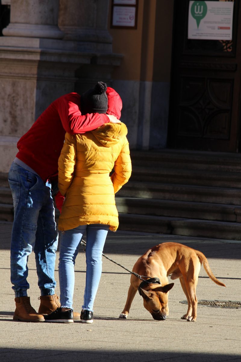 A Colourful Hug (Print 21)