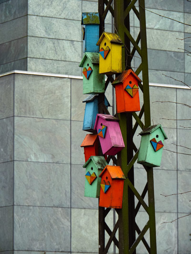 Colourful Bird Boxes (Print 25)