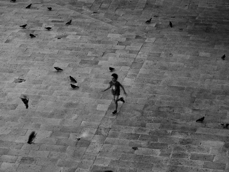 Therapy Room: Girl Playing with Pigeons (Print 27)