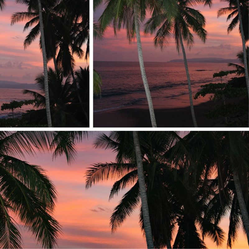 Palm Trees Pink and Green Sunset Triplet (Set 50)