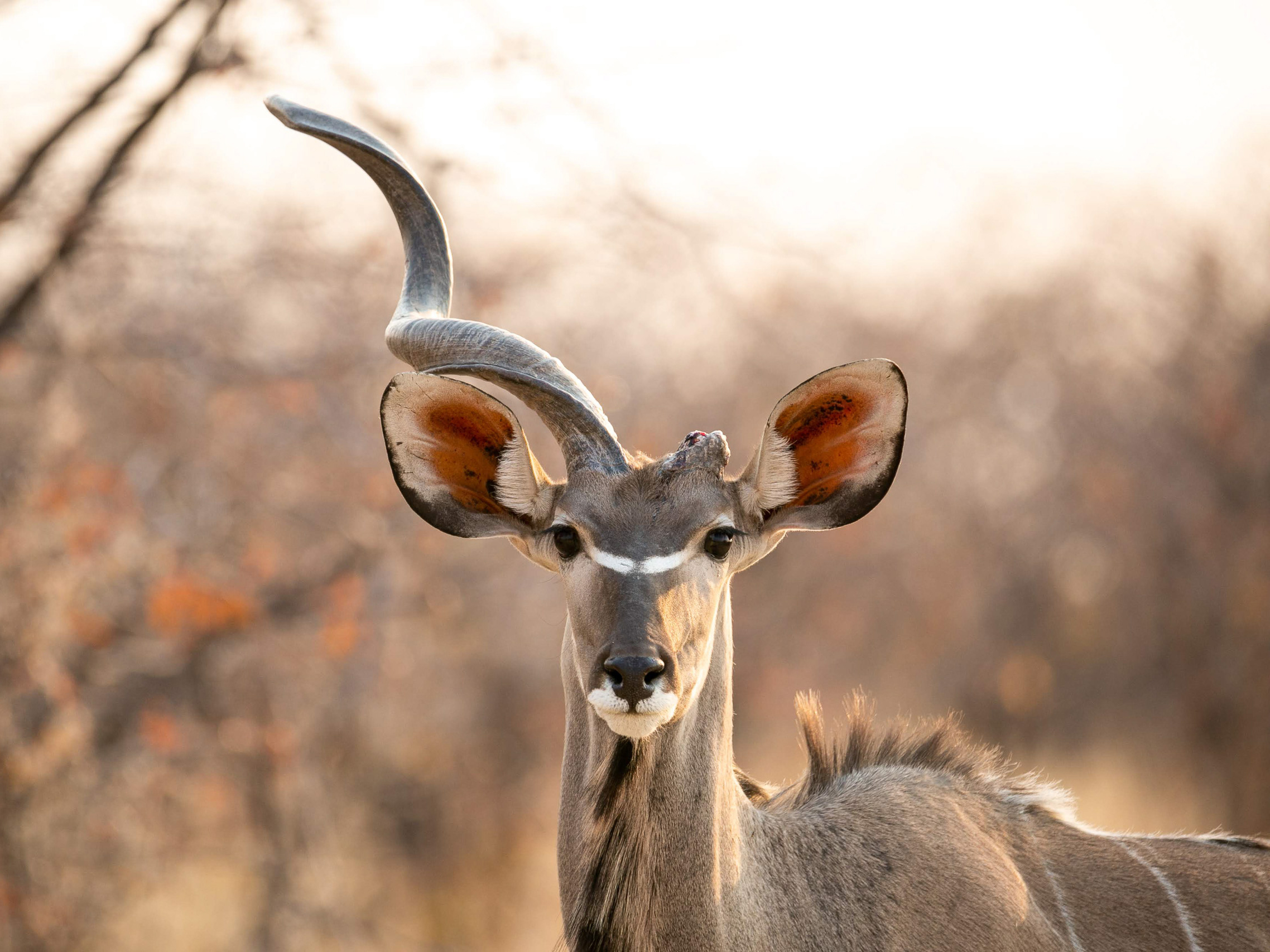 Home-Art-Single-Prints-108